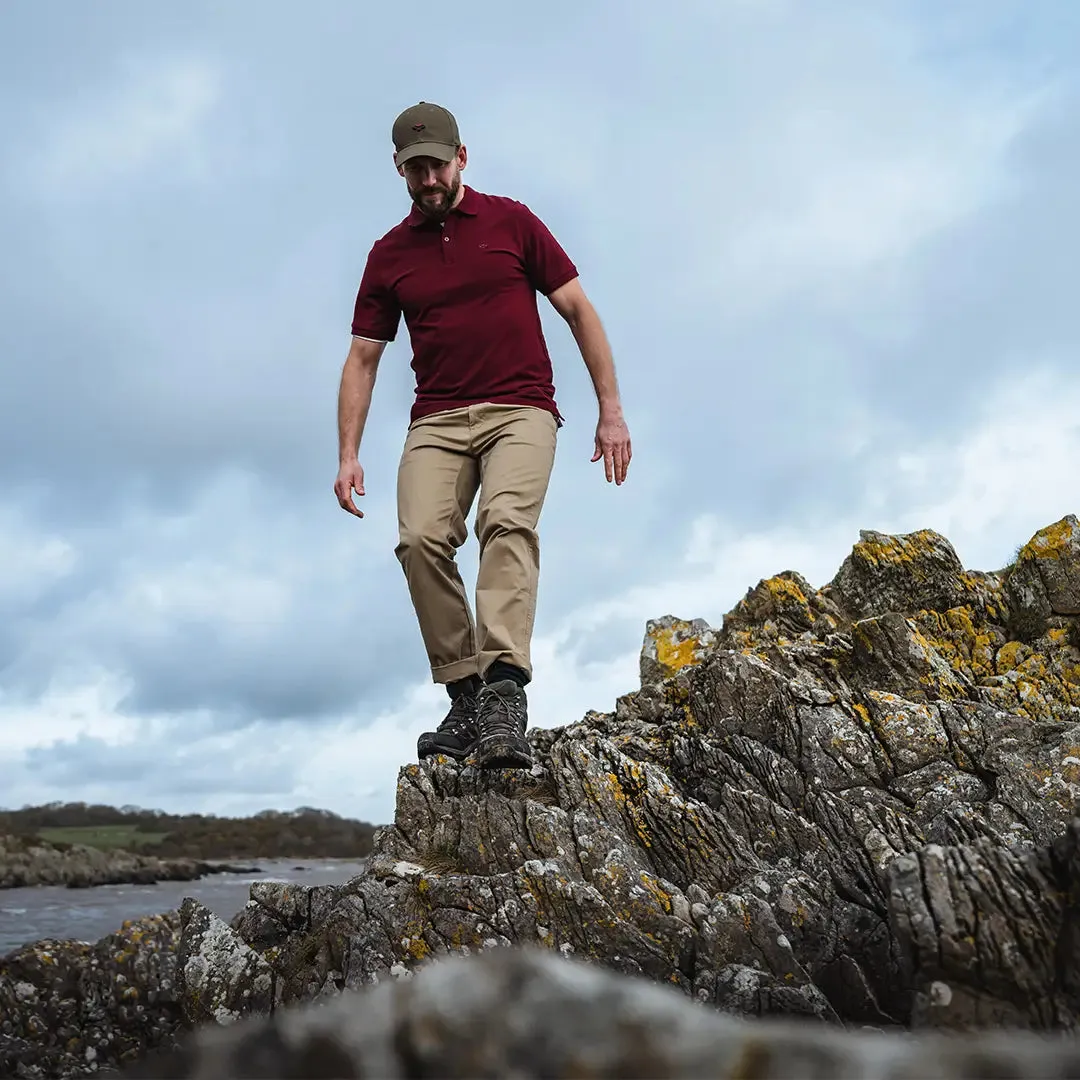 Largs Pique Polo Shirt Bordeaux by Hoggs of Fife